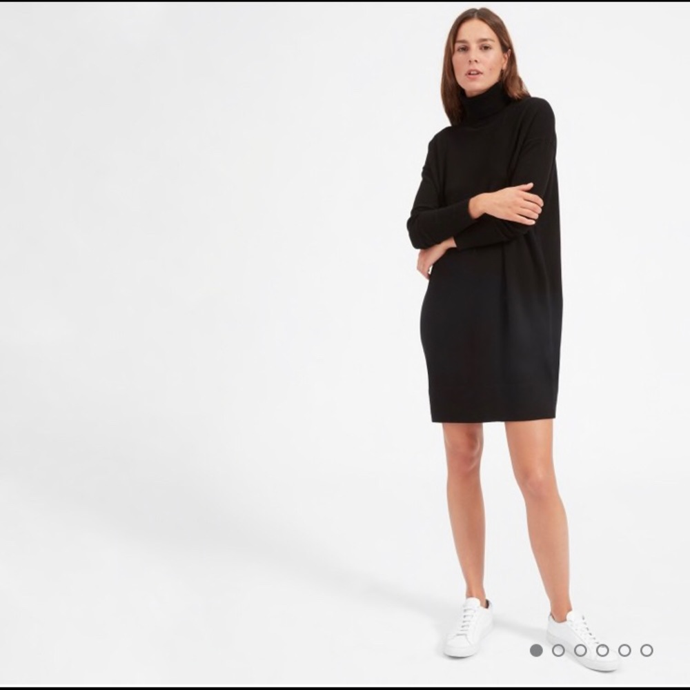 Black Cashmere Everlane Tunic Sweater Dress